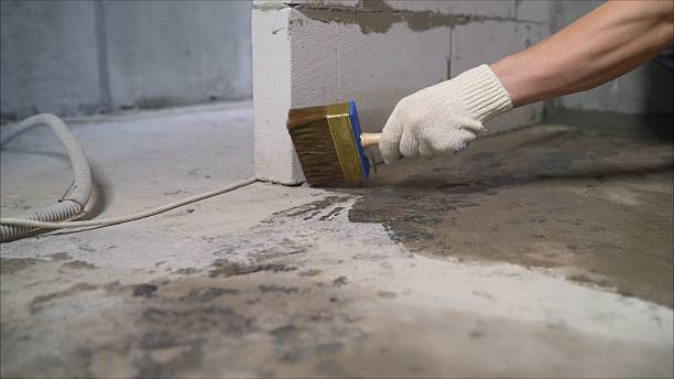 SJ Waterproofing Pros Waterproofing coverage map for Western Springs, IL and surrounding area